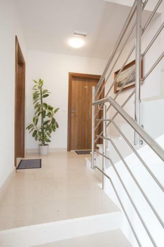 Apartments Filip