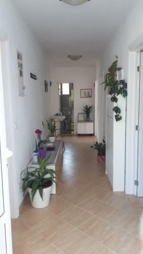 Apartman P&m