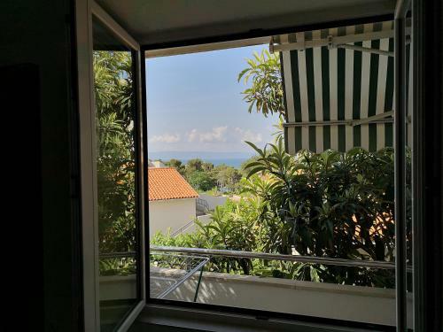 Apartmani Luce