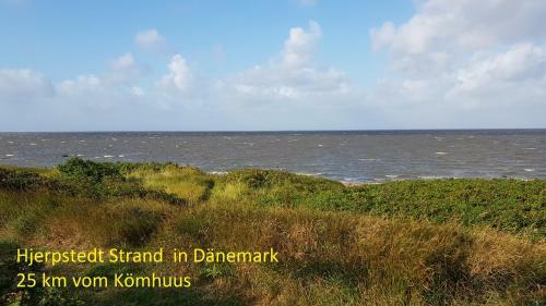 Ferienhaus K�mhuus