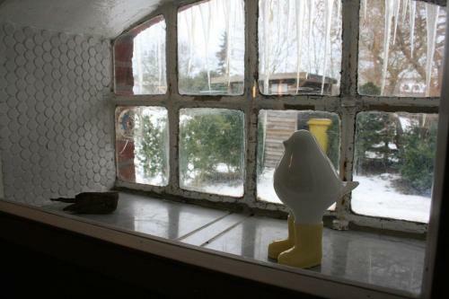 Apartamento Ferienwohnung-austernfischer