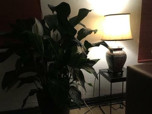 Apartamento Alte Schule Nieb�ll