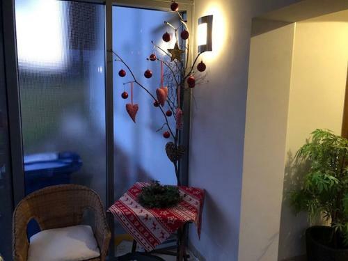 Hostal G�stehaus Falkenstein