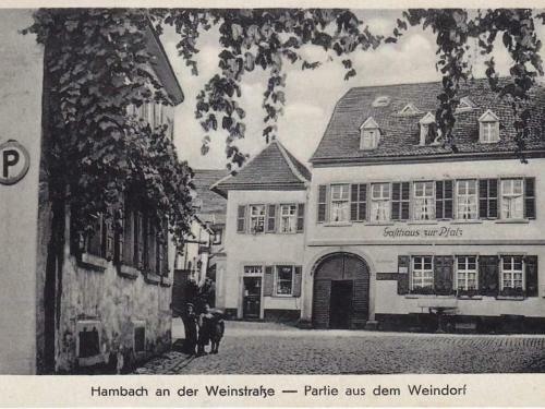 Apartamento Haus Wasmuth - Ferienwohnung Dorfplatz