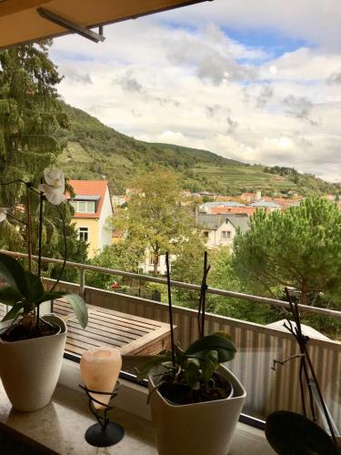 Apartamento Ferienwohnung Ruth