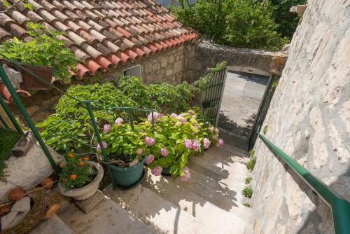 Apartamentos Kata