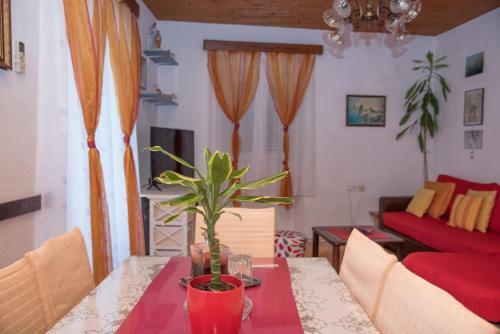 Apartamentos Kata