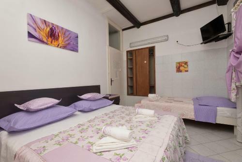Apartamentos Kata