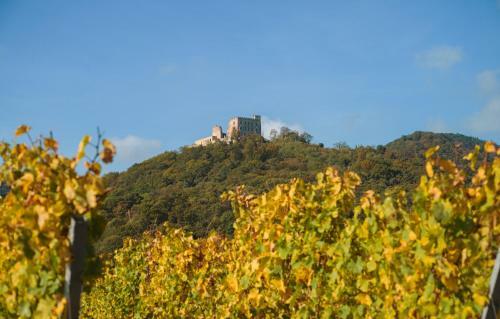 Ferienhaus Weinh�usel