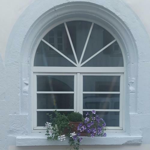 Apartamento Alte Schmiede Neustadt
