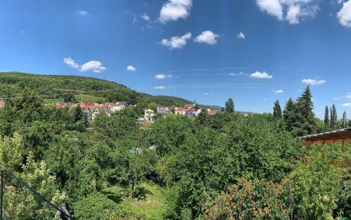 Apartamento Zeit In Hambach