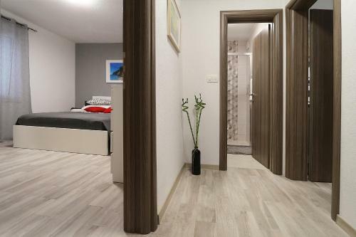 Modern Apartments Iva
