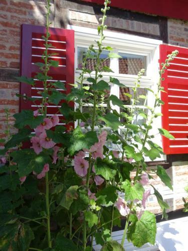 Apartments Villa Seeblick Travem�nde