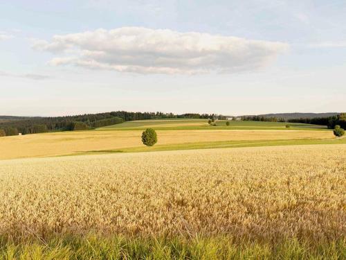 Apartamento Bantlehof