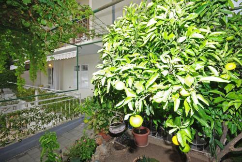 Apartamentos Marica