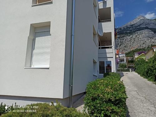 Apartman Robertino 1966