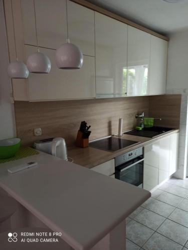 Apartman Robertino 1966