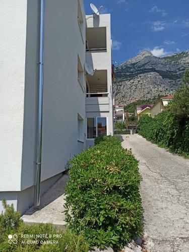 Apartman Robertino 1966