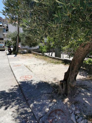 Apartman Adriatic Pavlinovic - Makarska