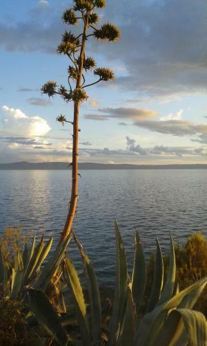 Apartman Adriatic Pavlinovic - Makarska