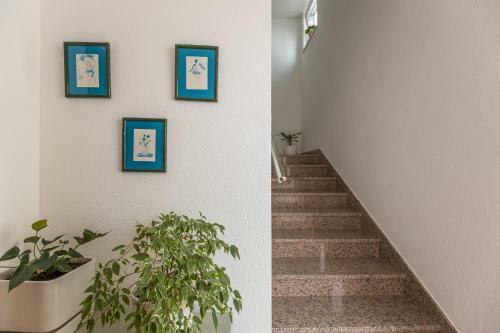 Apartments Jure