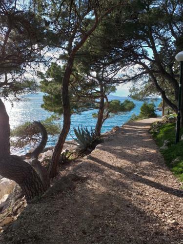 Apartman Makarska