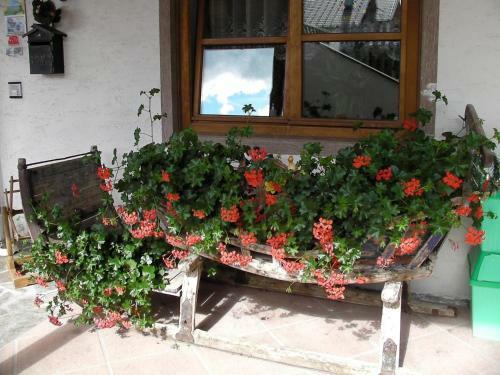 Agroturismo Appartamenti Suttru