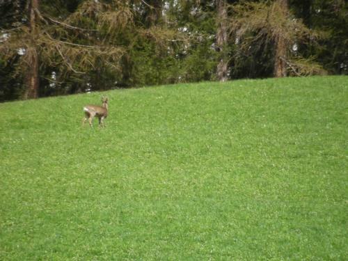 Agroturismo Appartamenti Suttru