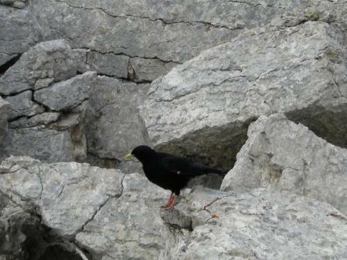 Agroturismo Appartamenti Suttru