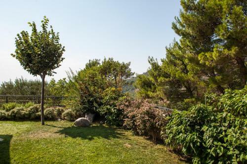 Villa Luki?