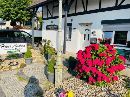 Hostal Hotel-pension Haus Andrea