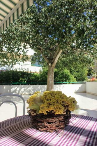 Apartments Pino
