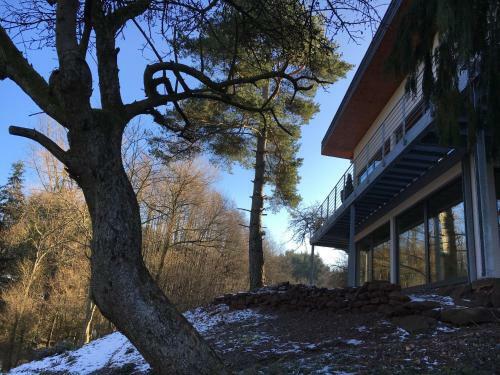 Apartamentos Haagalm Terrasse, Garten