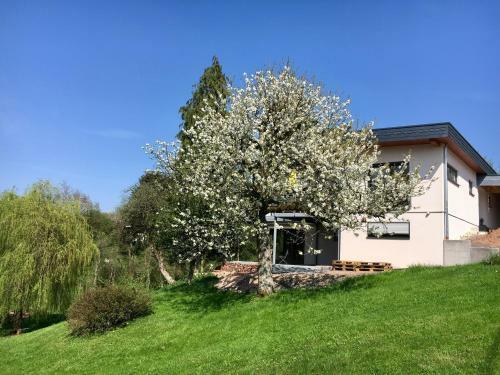 Apartamentos Haagalm Terrasse, Garten