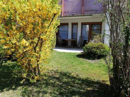 Apartamento Ferienwohnung Am Bodensee