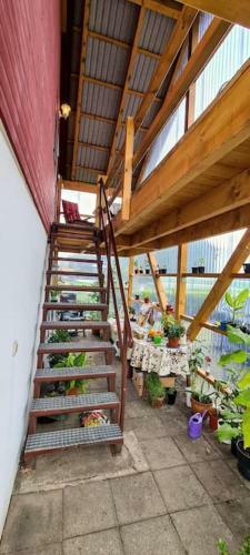 Apartamento Ferienwohnung Leuchtturm