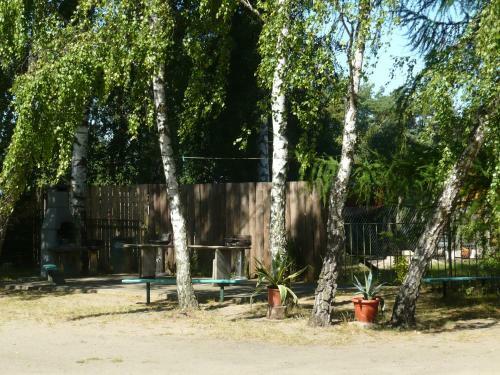 Apartamento S�dseite