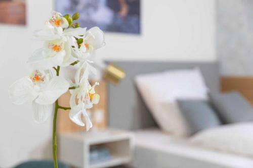 Apartamento Nino-boardinghouse 24