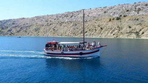 Boat-fishing Charter Averto