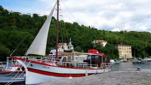 Boat-fishing Charter Averto