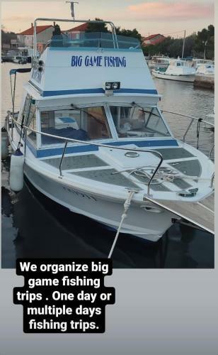 Boat-fishing Charter Averto