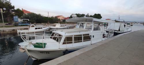 Boat-fishing Charter Averto