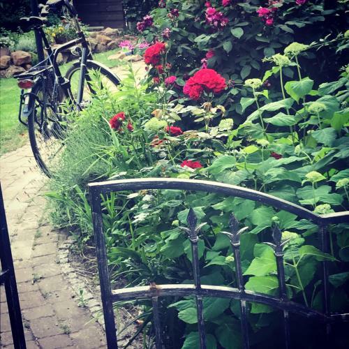 Apartamento Spechtstra�e 65 Ferienwohnung