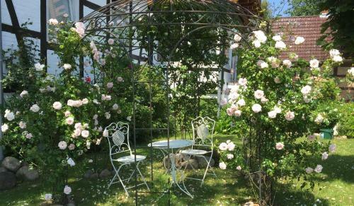 Apartamento Ferienwohnung Auf Dem Adolfshof