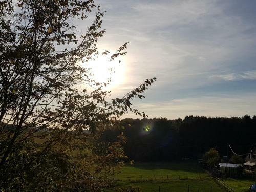 Apartamento Ferienwohnung Krahm
