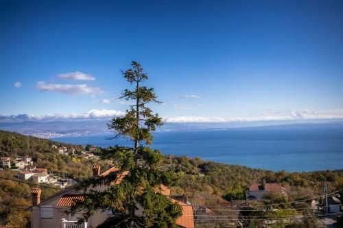 Wonderful Villa Mirna