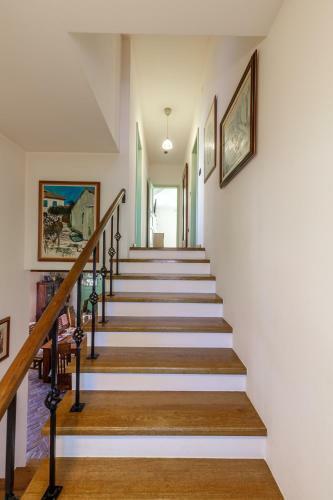 Wonderful Villa Mirna