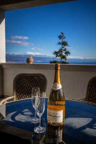 Wonderful Villa Mirna
