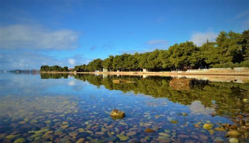 Apartman Rosa