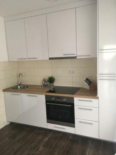 Luxury Apartments Vu?ini? Pirovac